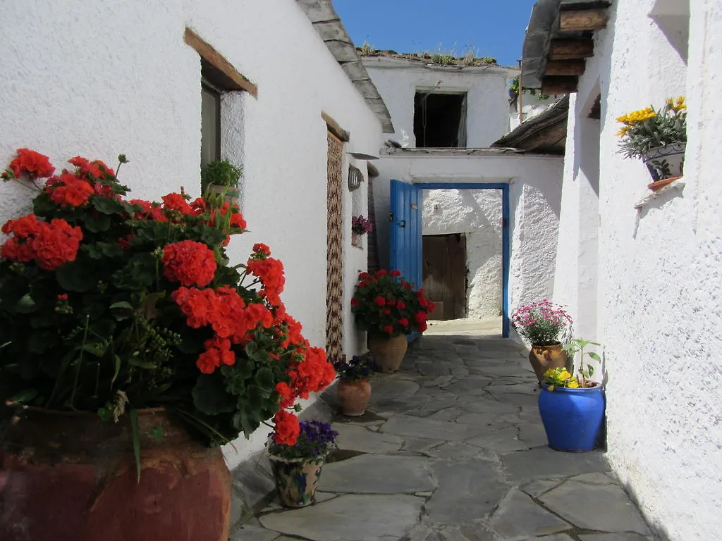 Sierra Y Mar Bed and Breakfast Ferreirola 3*,
