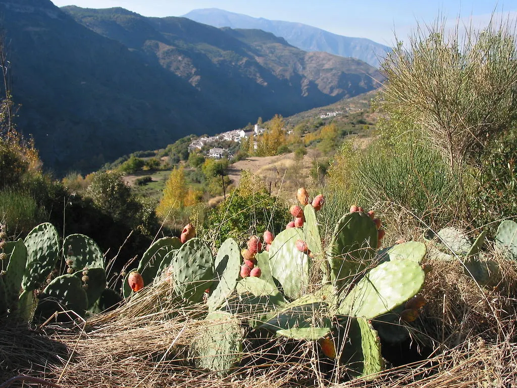 Sierra Y Mar Bed and Breakfast Ferreirola